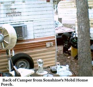 4 cars in back yard